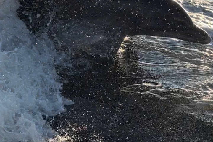 a man riding a wave on a surfboard in the water