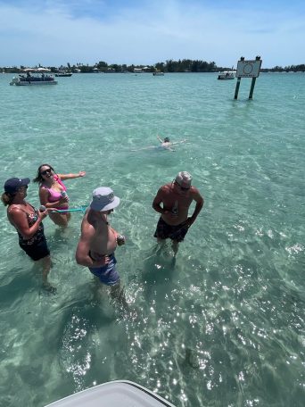 a group of people swimming in a body of water